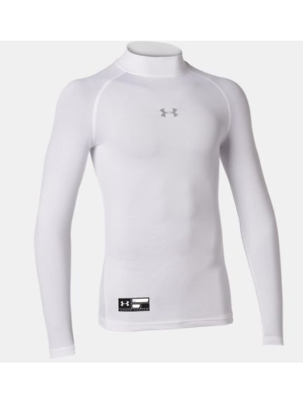 UA HG ARMOUR LS MOCK PK Y